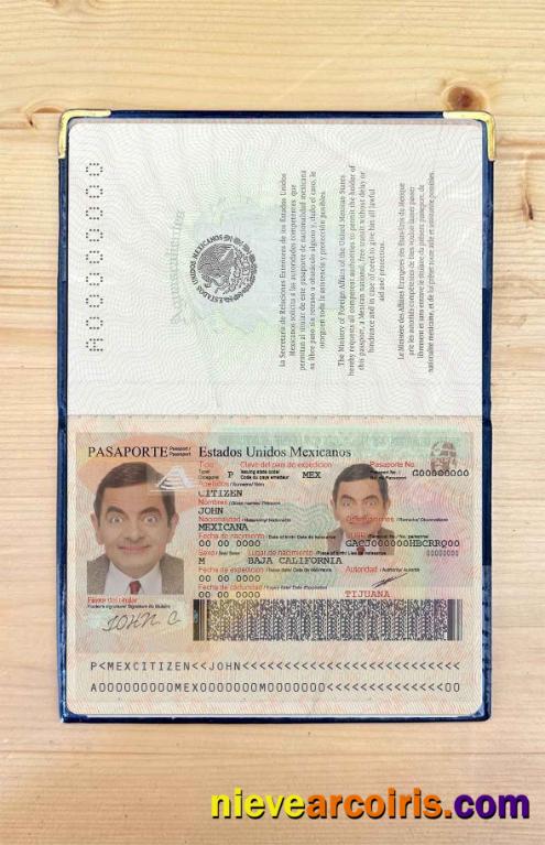 Mexico passport photolook